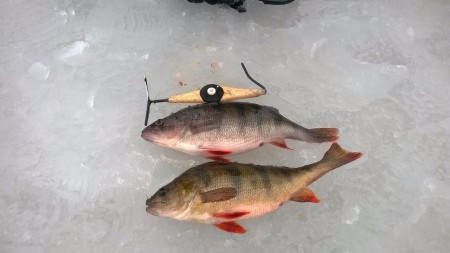 Karin ja kaarinan affenet.